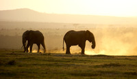 Laikipia