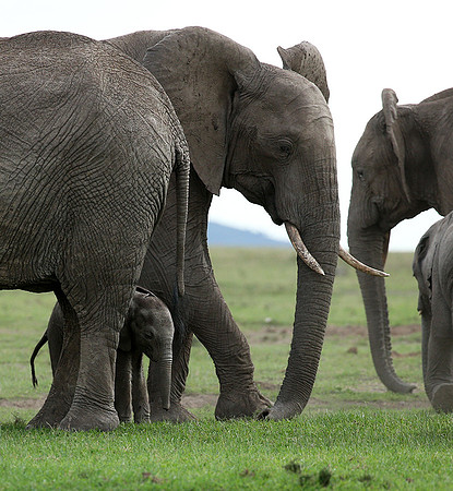 Laikipia