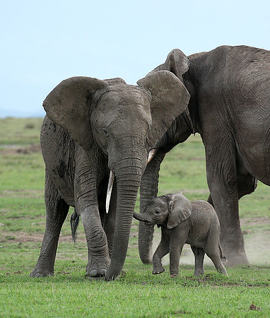 Laikipia