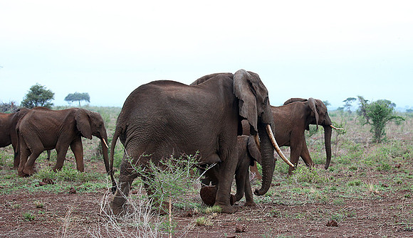 Meru NP