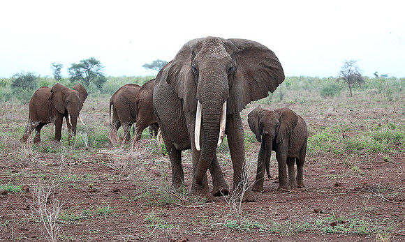 Meru NP