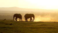 Laikipia
