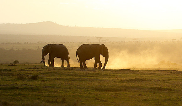 Laikipia