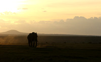 Laikipia