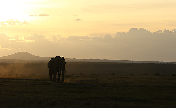 Laikipia