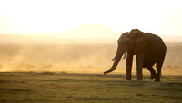 Laikipia