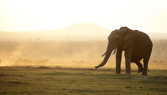 Laikipia