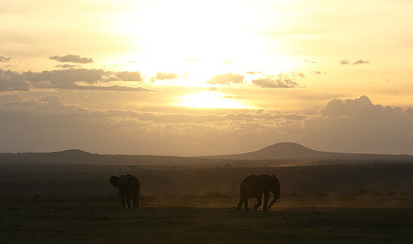 Laikipia