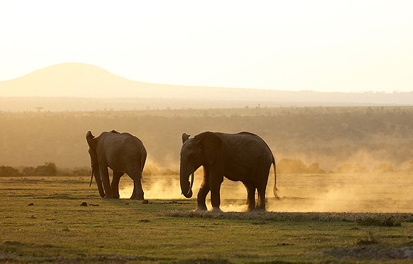 Laikipia