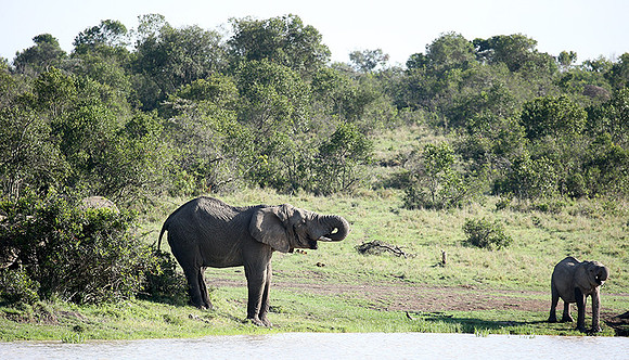 Laikipia