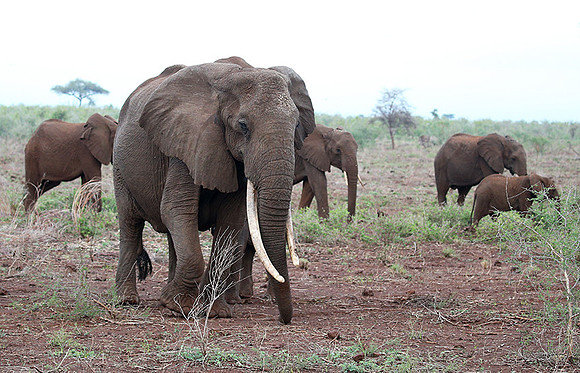 Meru NP