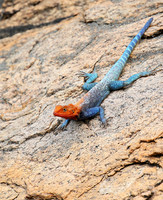 Meru NP