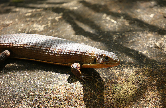 Meru NP