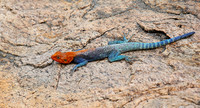 Meru NP