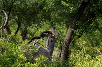At Lion Sands