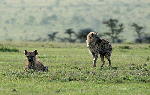 Laikipia