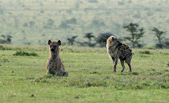 Laikipia