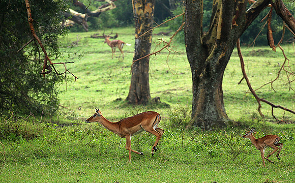 Laikipia