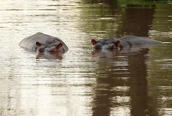 Meru National Park