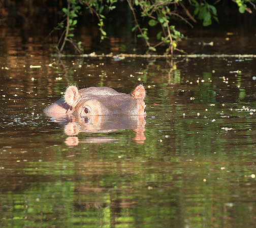 Meru National Park