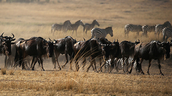 Gathering before crossing the river