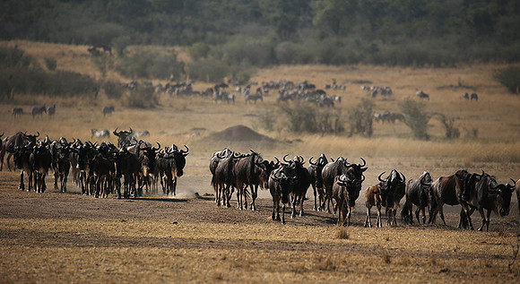 Gathering before crossing the river