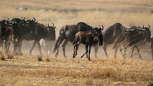 Gathering before crossing the river