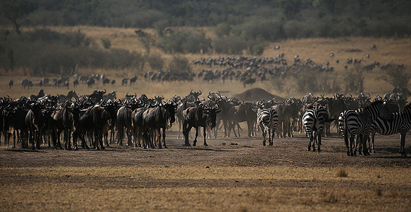 Gathering before crossing the river