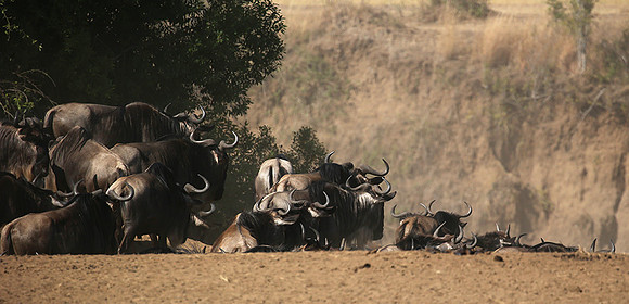 Gathering before crossing the river