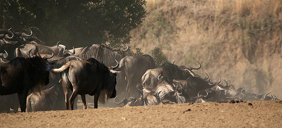 Gathering before crossing the river