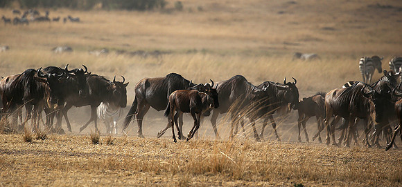 Gathering before crossing the river