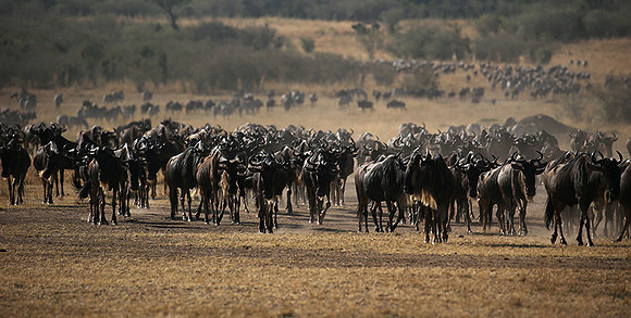 Gathering before crossing the river