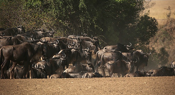 Gathering before crossing the river