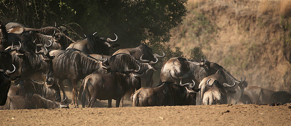 Gathering before crossing the river
