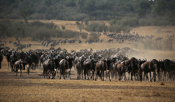 Gathering before crossing the river