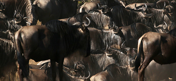 Gathering before crossing the river