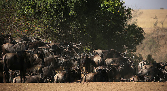 Gathering before crossing the river