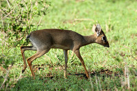 Meru NP
