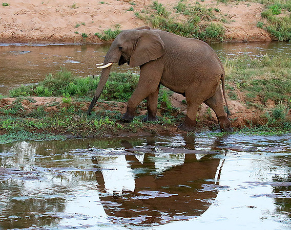 At Kruger NP