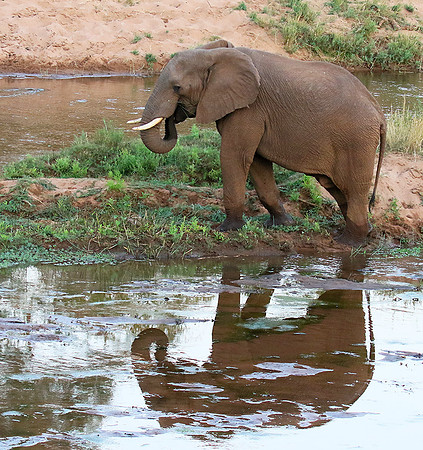 At Kruger NP