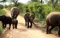 Lion Sands