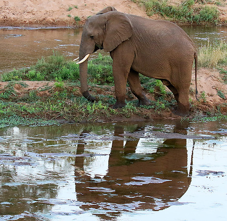 At Kruger NP