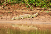 At Kruger NP