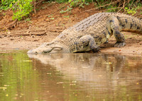 At Kruger NP