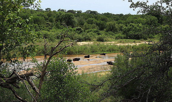 Lion Sands