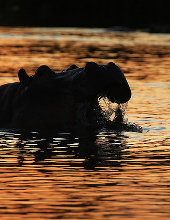 Kruger NP