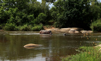 At Lion Sands
