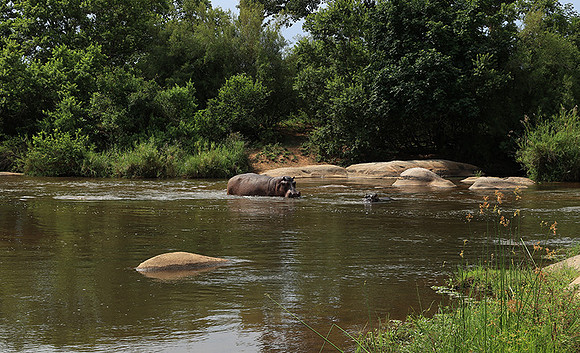 At Lion Sands