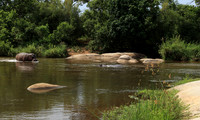 At Lion Sands