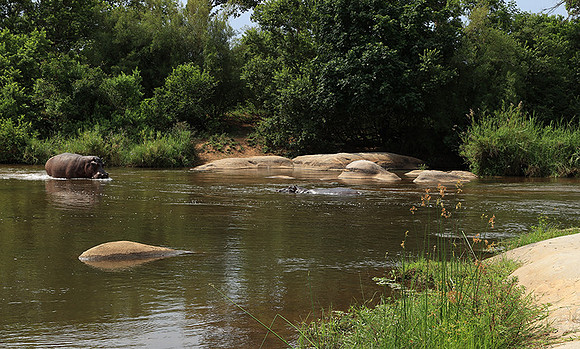 At Lion Sands